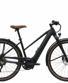 Bulls Urban EVO 10 Step-Thru