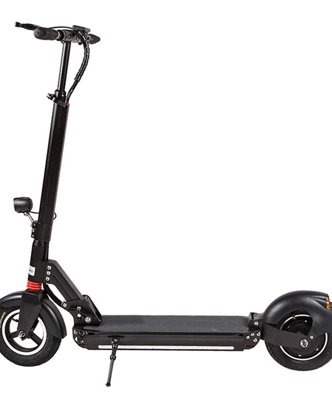 FreeGo S10 800W 48V10.4Ah Electric Scooter