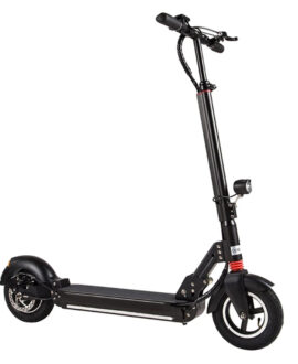 FreeGo S10 800W 48V10.4Ah Electric Scooter