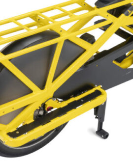 SALE:  Tern GSD Gen2 S10 LX Electric Cargo Bike – Dragon Fruit