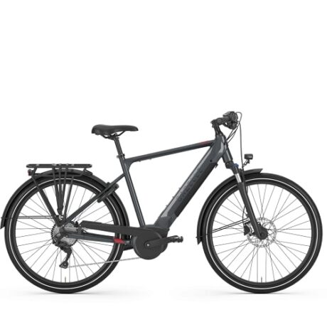 SALE: Gazelle Medeo T10