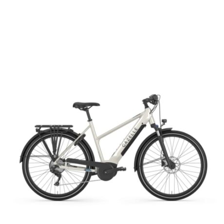SALE: Gazelle Medeo T10