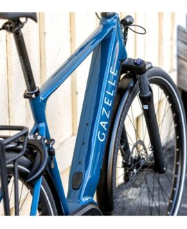 Gazelle Medeo T10+ High Step