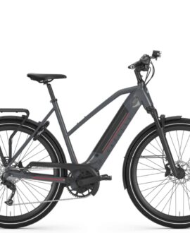 Gazelle Ultimate T10+ Mid & High Step