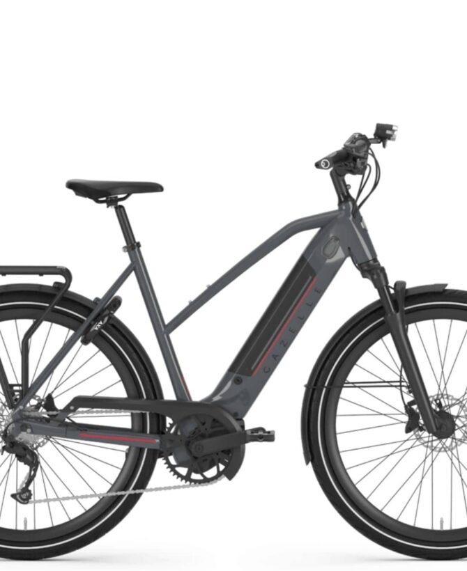 Gazelle Ultimate T10+ Mid & High Step