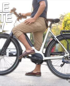 Gazelle Ultimate T10 Low Step