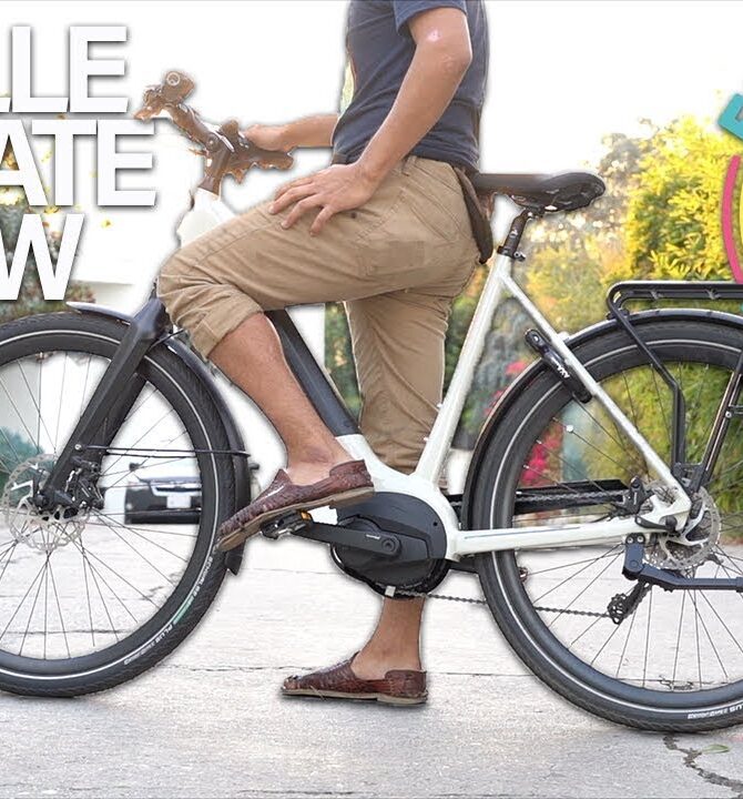 Gazelle Ultimate T10 Low Step