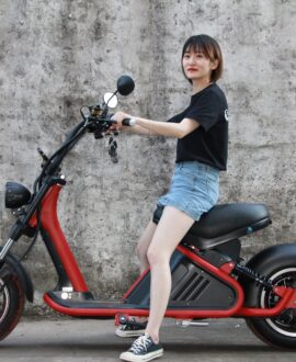 M2 Big Wheel 3000W 40Ah Electric Scooter