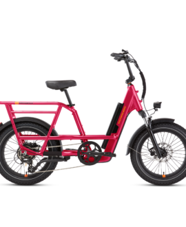 RadRunner™ 3 Plus Electric Utility Bike