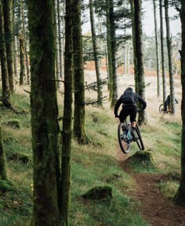 Orbea Rise H30