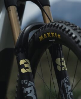 Orbea Wild H10