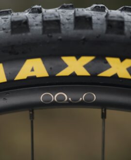 Orbea Wild H10