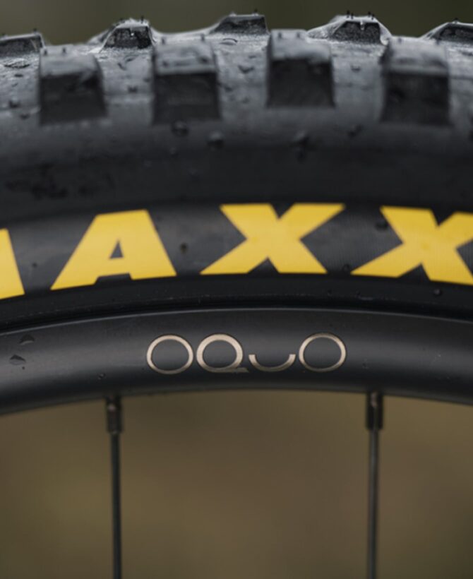 Orbea Wild H10