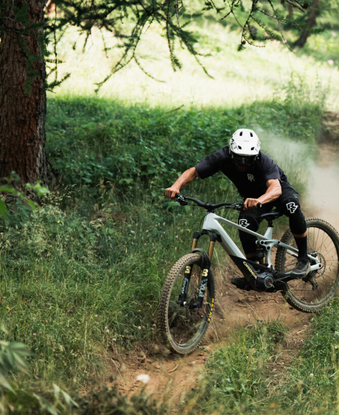Orbea Wild H10