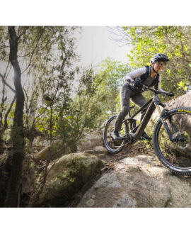 Orbea Wild H10
