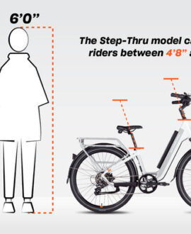 RadCity™ 5 Plus Electric Commuter Bike