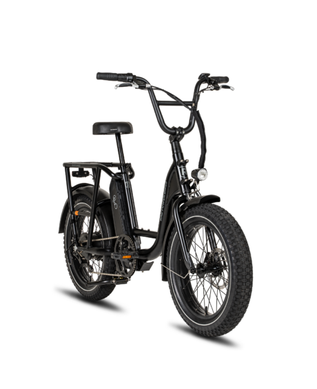 RadRunner™ 2 Electric Utility Bike