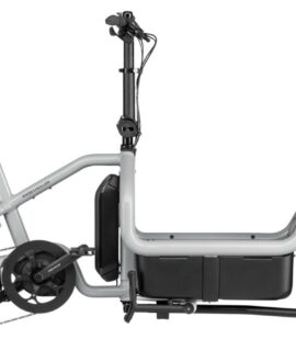 Riese & Muller Carrie Touring