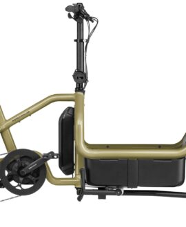 Riese & Muller Carrie Touring