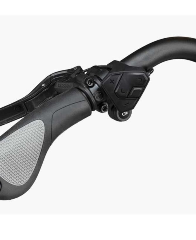 Riese and Muller Homage4 GT Rohloff HS