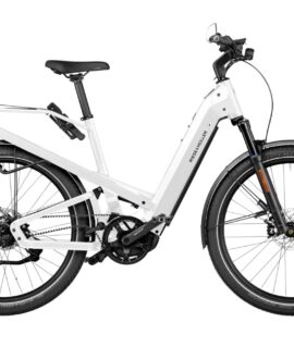 Riese and Muller Homage4 GT Rohloff HS