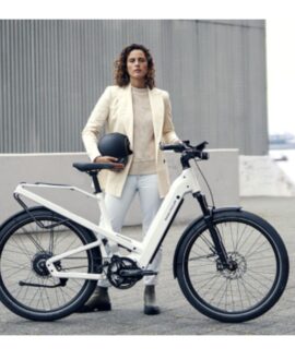 Riese and Muller Homage4 GT Rohloff HS
