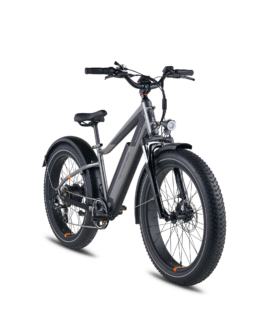 RadRover™ 6 Plus Electric Fat Tire Bike