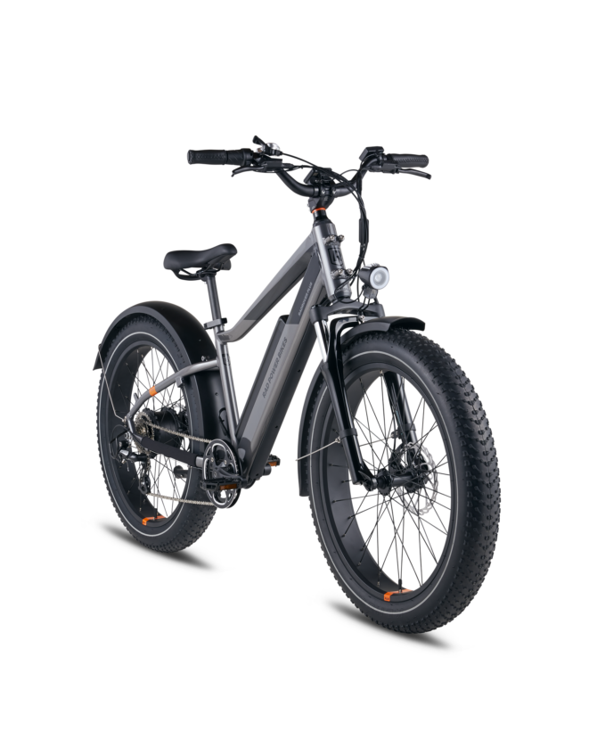 RadRover™ 6 Plus Electric Fat Tire Bike