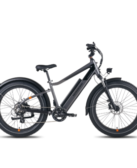 RadRover™ 6 Plus Electric Fat Tire Bike