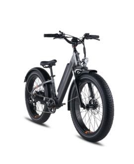 RadRover™ 6 Plus Electric Fat Tire Bike