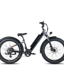 RadRover™ 6 Plus Electric Fat Tire Bike