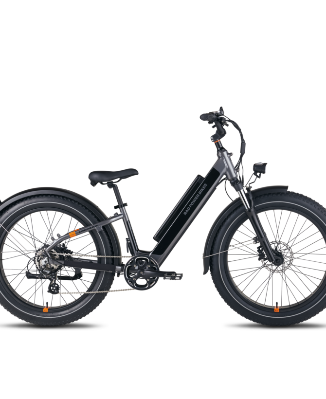 RadRover™ 6 Plus Electric Fat Tire Bike