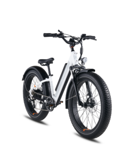 RadRover™ 6 Plus Electric Fat Tire Bike