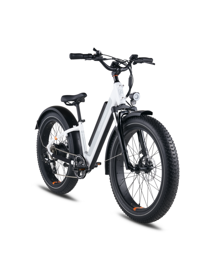 RadRover™ 6 Plus Electric Fat Tire Bike