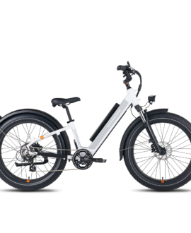 RadRover™ 6 Plus Electric Fat Tire Bike