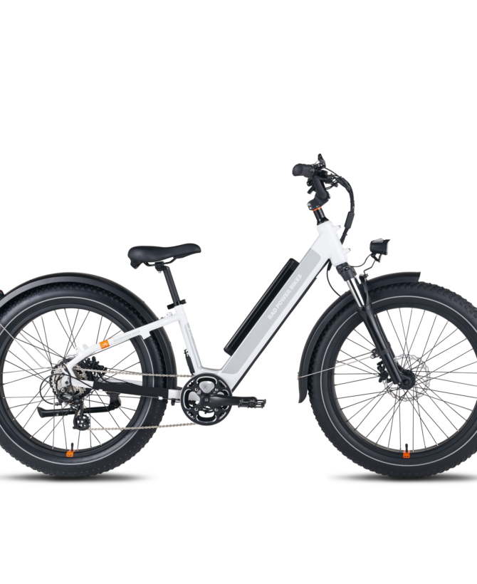 RadRover™ 6 Plus Electric Fat Tire Bike