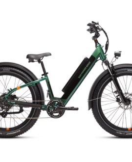 RadRover™ 6 Plus Electric Fat Tire Bike