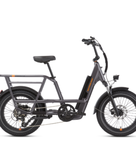 RadRunner™ 3 Plus Electric Utility Bike