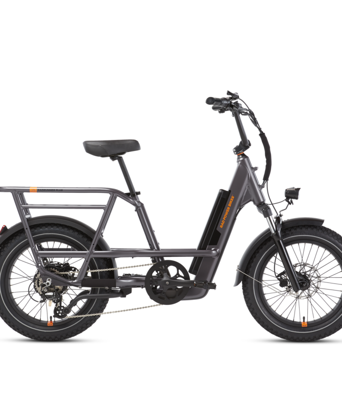 RadRunner™ 3 Plus Electric Utility Bike