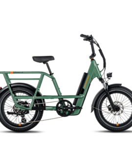 RadRunner™ 3 Plus Electric Utility Bike