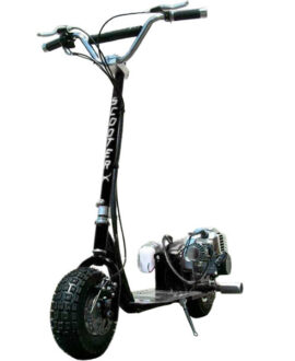 ScooterX Dirt Dog 49cc