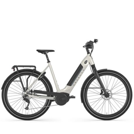 SALE:  Gazelle Ultimate T10