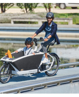Urban Arrow Family Cargo