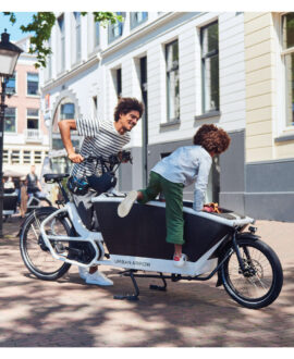 Urban Arrow Family Cargo