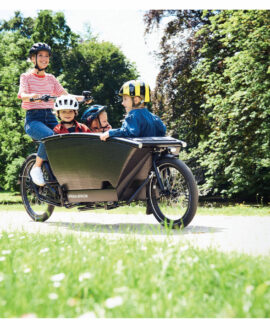 Urban Arrow Family Cargo