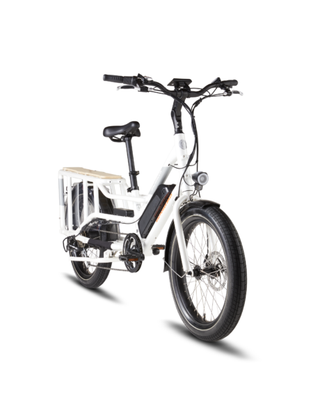 RadWagon™ 4 Electric Cargo Bike