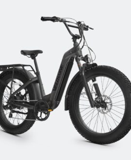 Ranger Step-Thru 2.0 Electric Bike