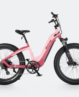 Grace 2.0 Step-Thru Electric Bike