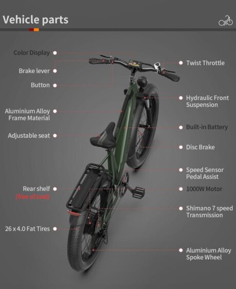 Aostirmotor King 1000W 52V All-Terrain Fat Tire Electric Bike