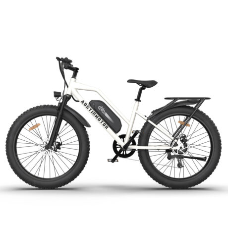 Aostirmotor S07-G 48V/13Ah 750W Electric Commuter Bike